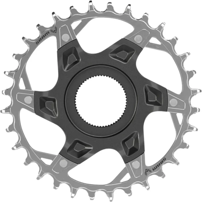 large (3).webp